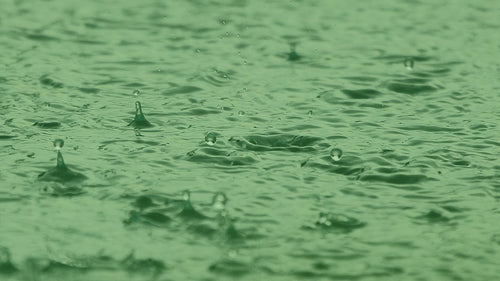 Rainwater in the pond 