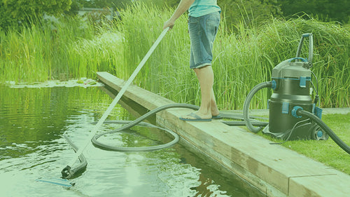 Pond maintenance in April | Preparing your pond for summer 