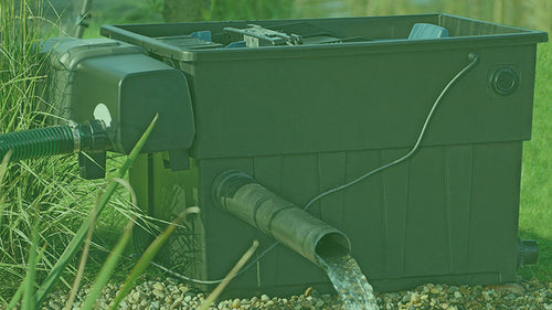 Pond Filter Maintenance - How and When? 