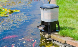 Automatic feeder