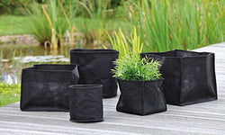 Vijverbeplanting