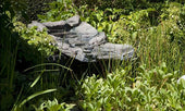 Vijver waterval