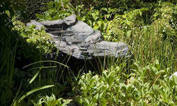 Pond waterfall