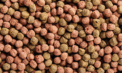 Fish food