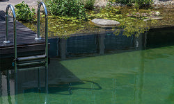 Swimming pond