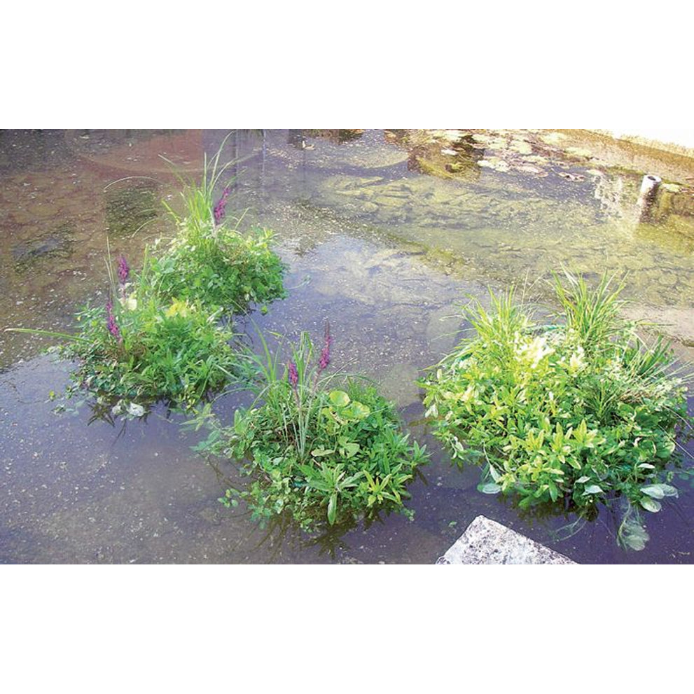 Schwimmende Pflanzeninsel ca. 73cm.