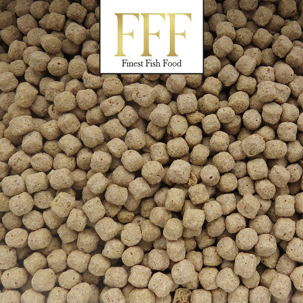 finest-fish-food-basic-koifood-6mm-3 -stuks
