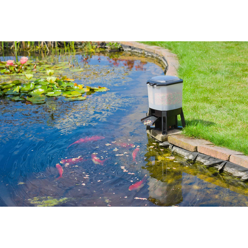 koi_feeder_solar_voerautomaat-2