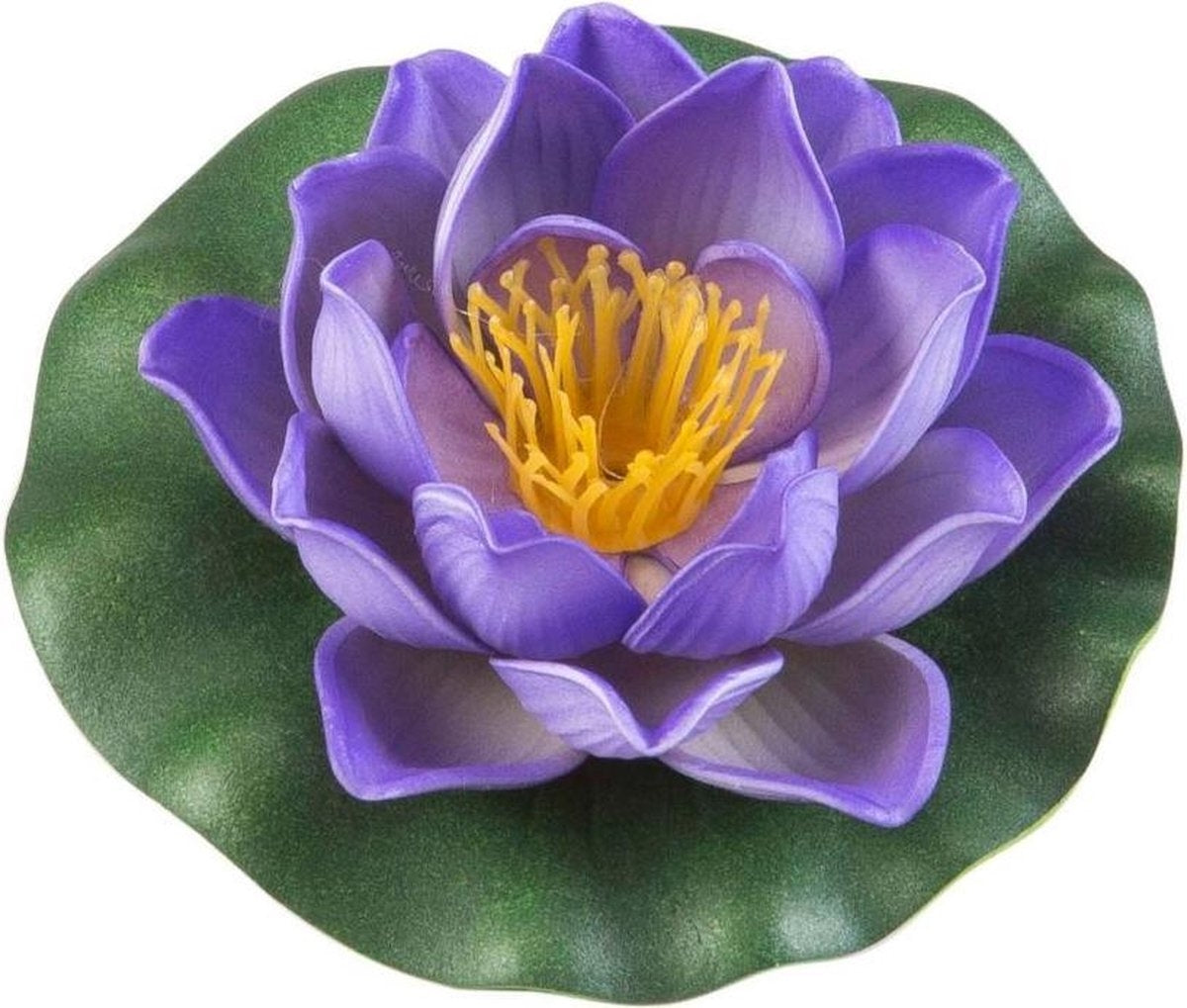 Velda Drijvende Vijverplant Lotus Paars 10 cm