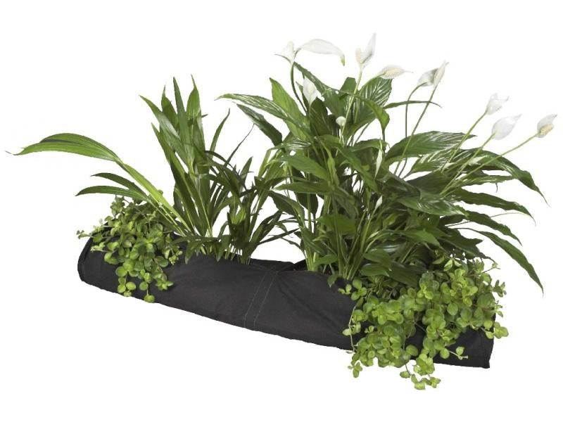 127594-velda-plant-sock-02