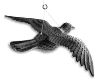 71hsdrgtzjl._ac_sl1200