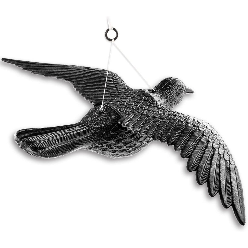 71hsdrgtzjl._ac_sl1200