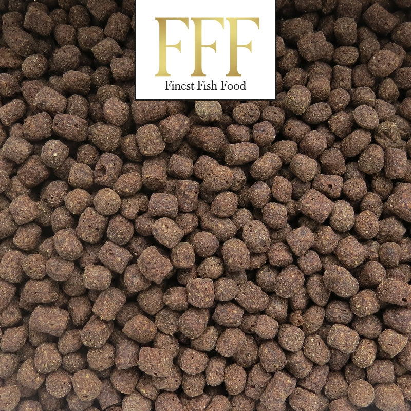 Finest Fish Food Premium Koivoer 6mm 10 kilo