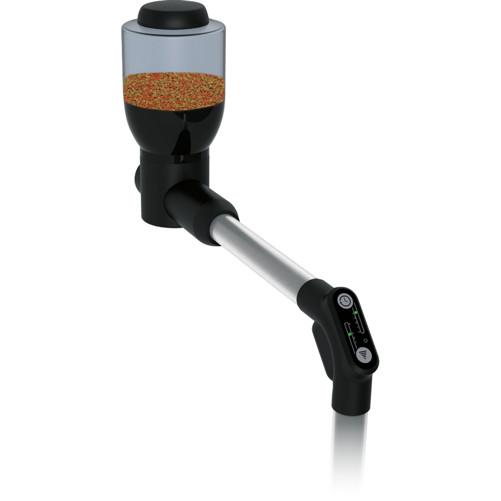 fish-feeder-easy-2