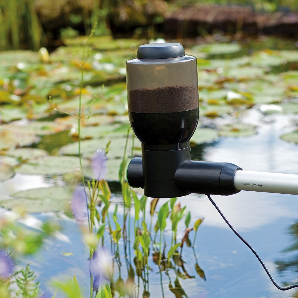 fish-feeder-easy-3