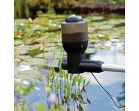 fish-feeder-easy-3