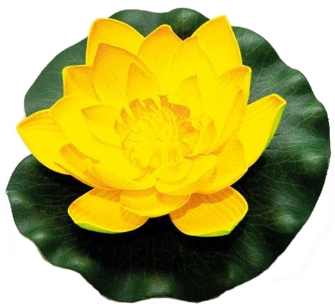 Velda Drijvende Vijverplant Lotus Geel 17 cm