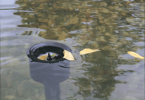 oase_20aquaskim_2020_2002