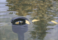 oase_20aquaskim_2040_2004