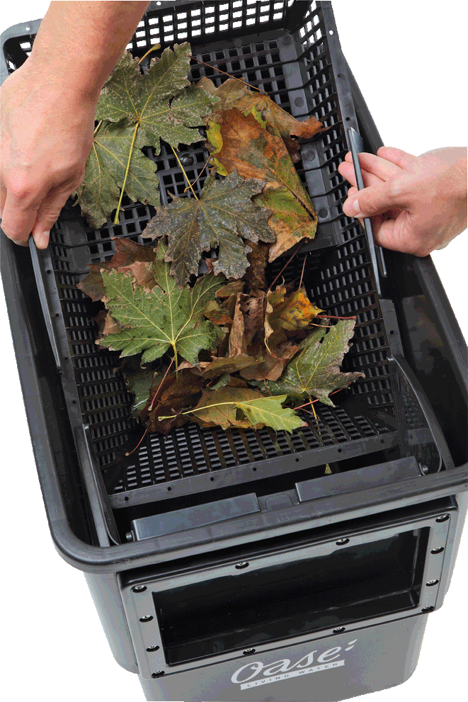 oase_20biosys_20skimmer_20_2006