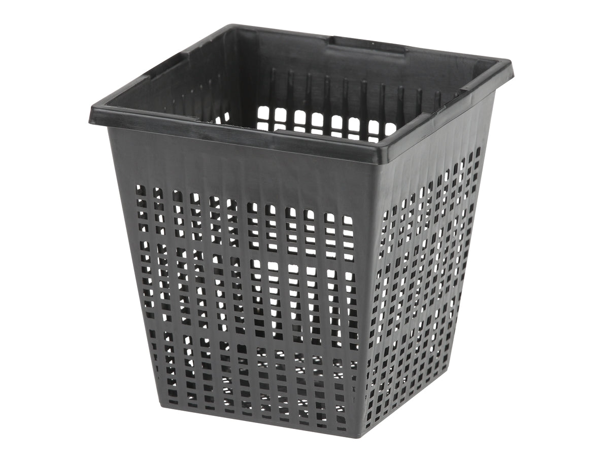 Square plant basket 11cm