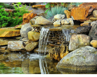 pond-lifstyle_1_1
