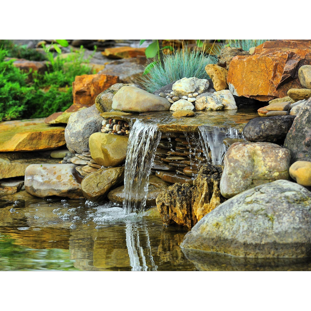 pond-lifstyle_1_1