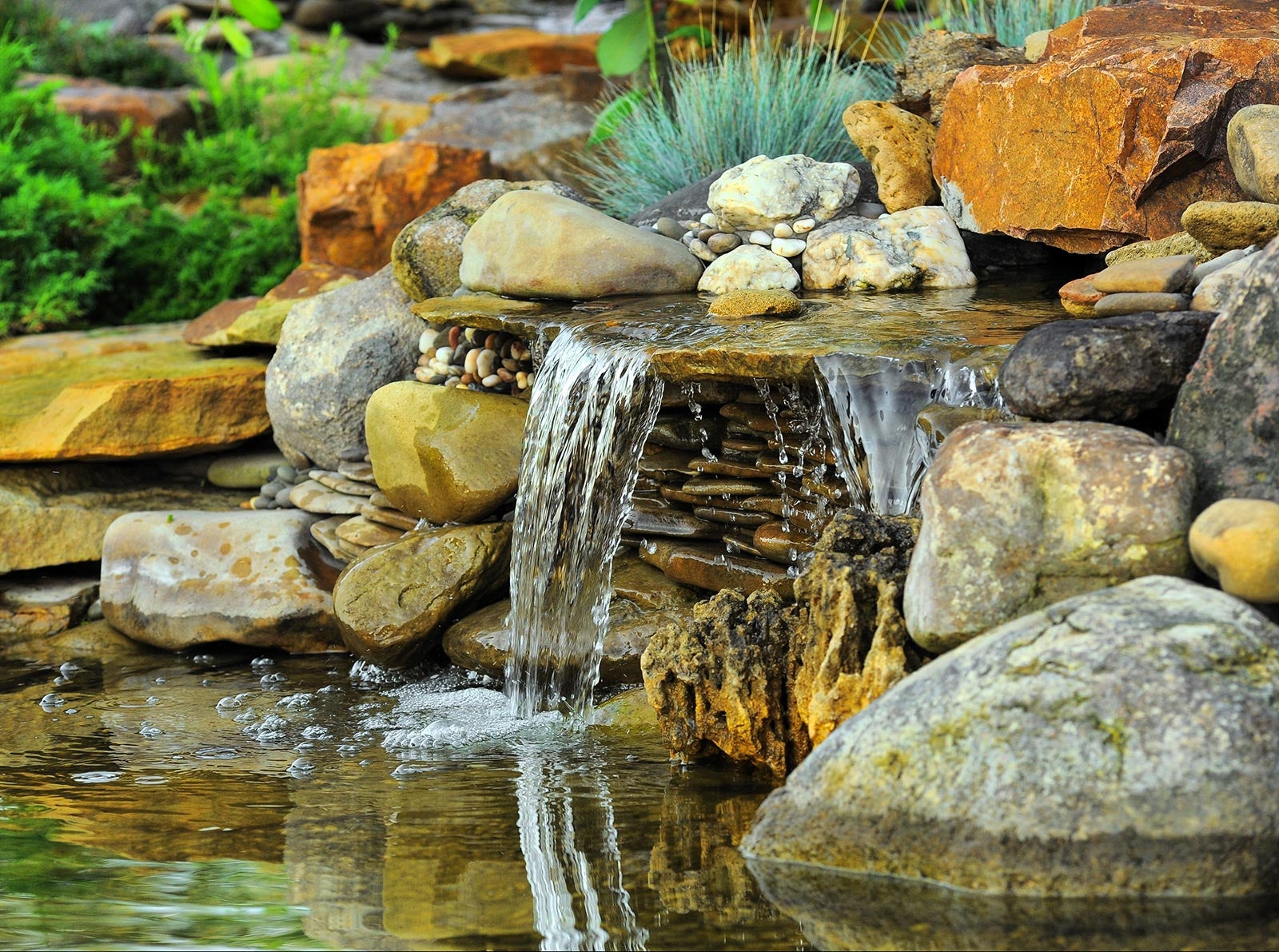 pond-lifstyle_1_4