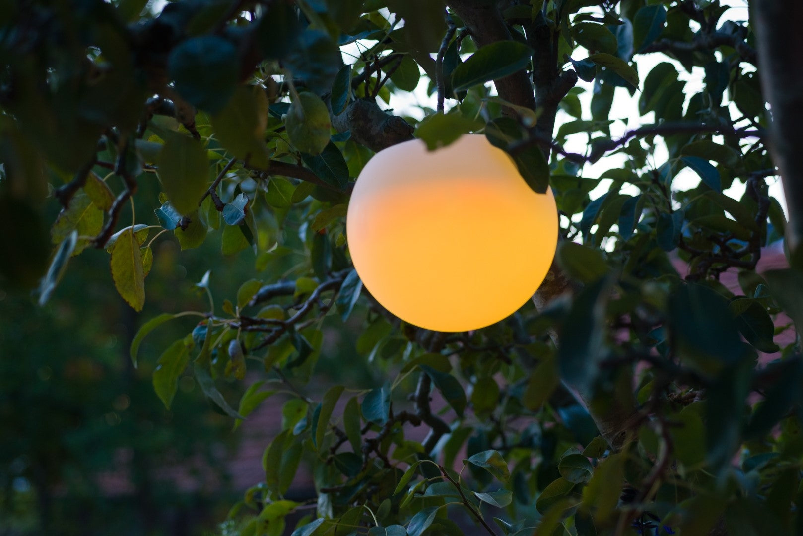 solar_lichtbol_-_drijvend_-_rgb_led_-_oplaadbaar_-_25cm.