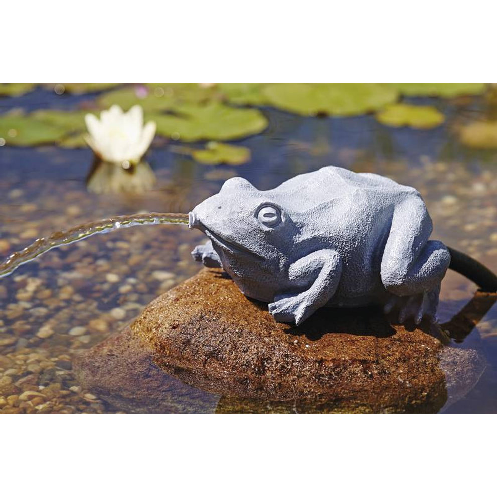spuitfiguur-kikker-36774-voorbeeld