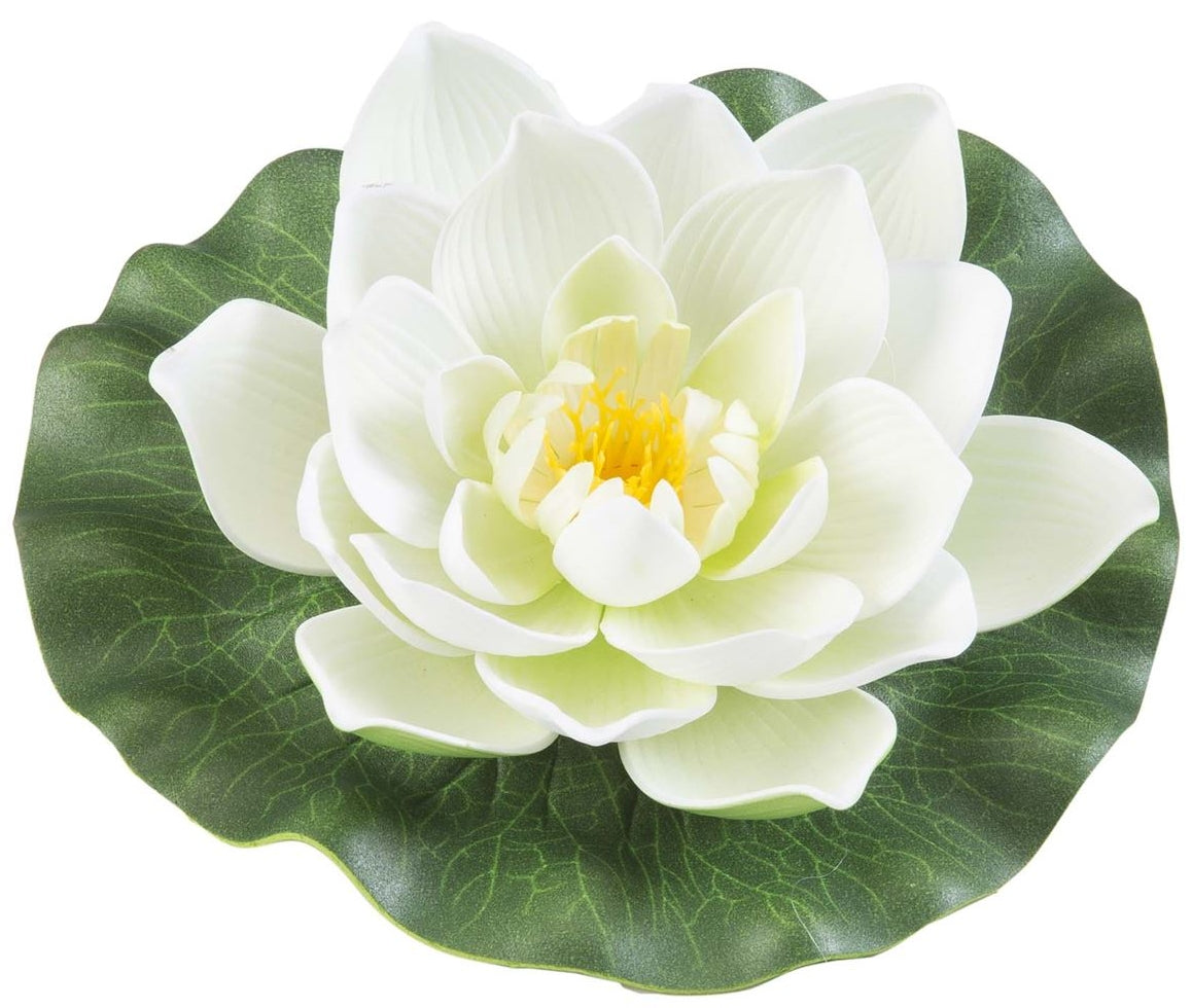 Velda Drijvende Vijverplant Lotus Wit 17 cm