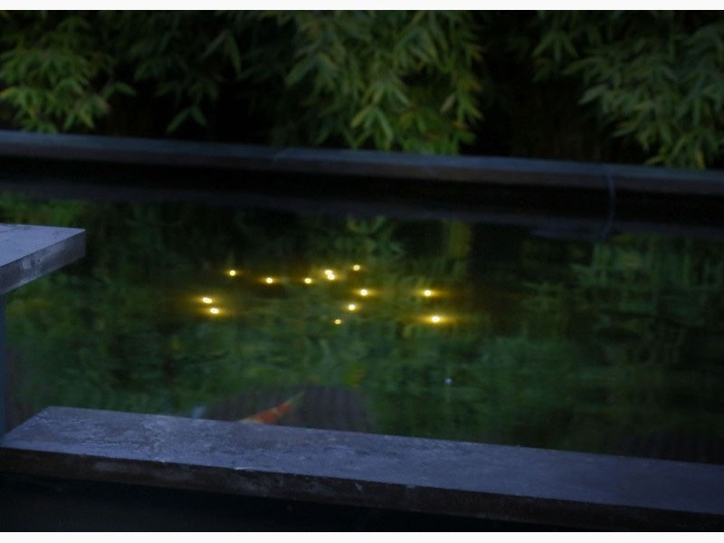 velda-welkin-pond-light-03