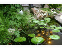 velda-welkin-pond-light-04
