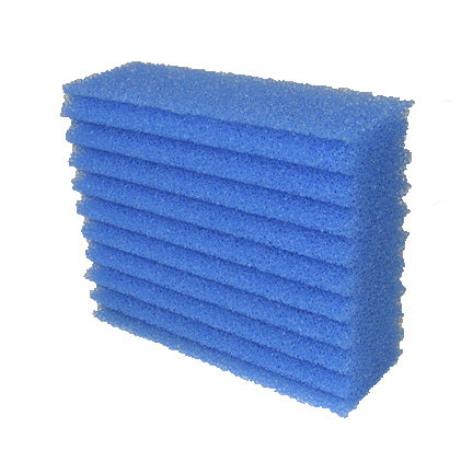 Replacement foam blue BioSmart 18000-36000